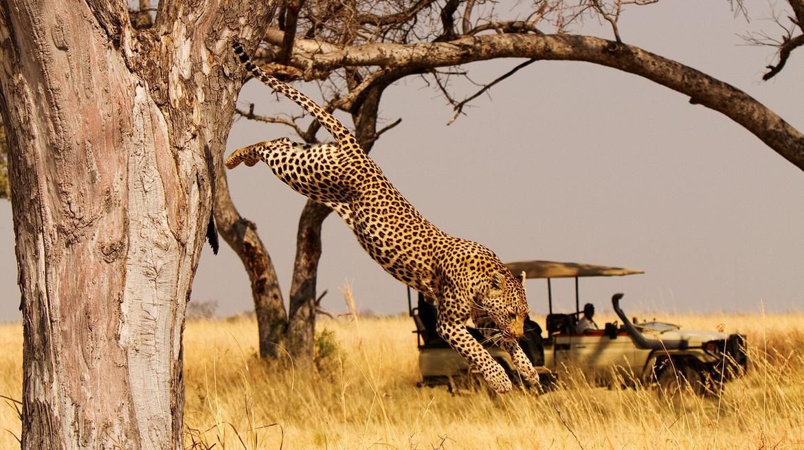 Ultimate Private East African Safari
