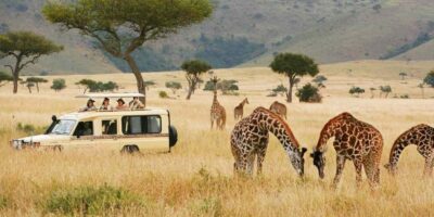 A group of tourists on a walking safari in Mana Pools National Park, Zimbabwe, observing a herd of elephants in the distance.
