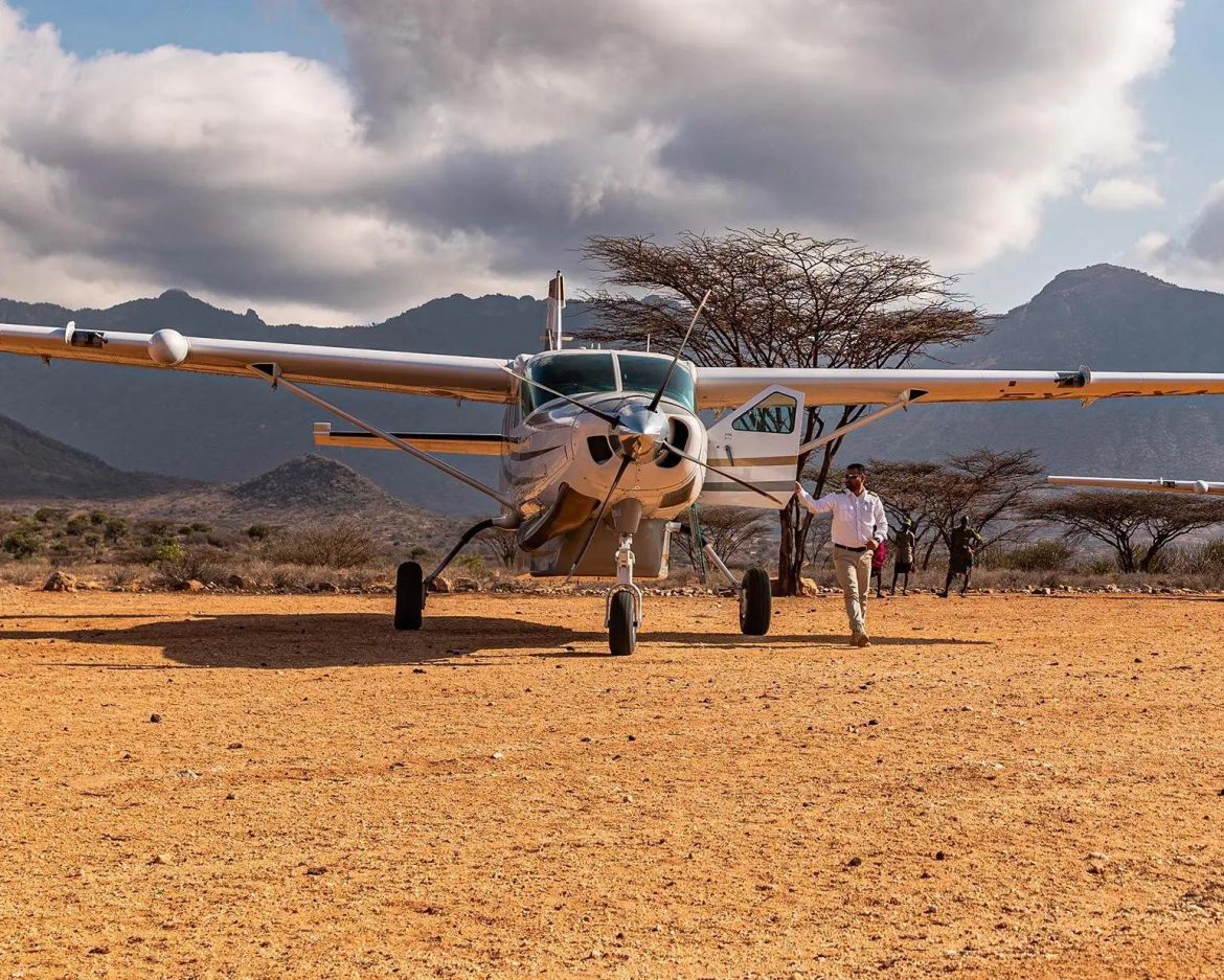 Gorongosa Wildlife Recovery Safari